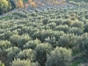 Umbria, Italy